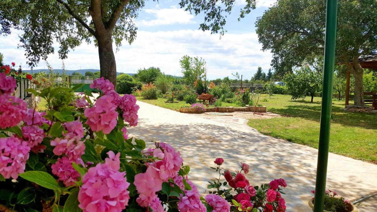 Village House Fafarinka - Close To Krka National Park Konjevrate المظهر الخارجي الصورة