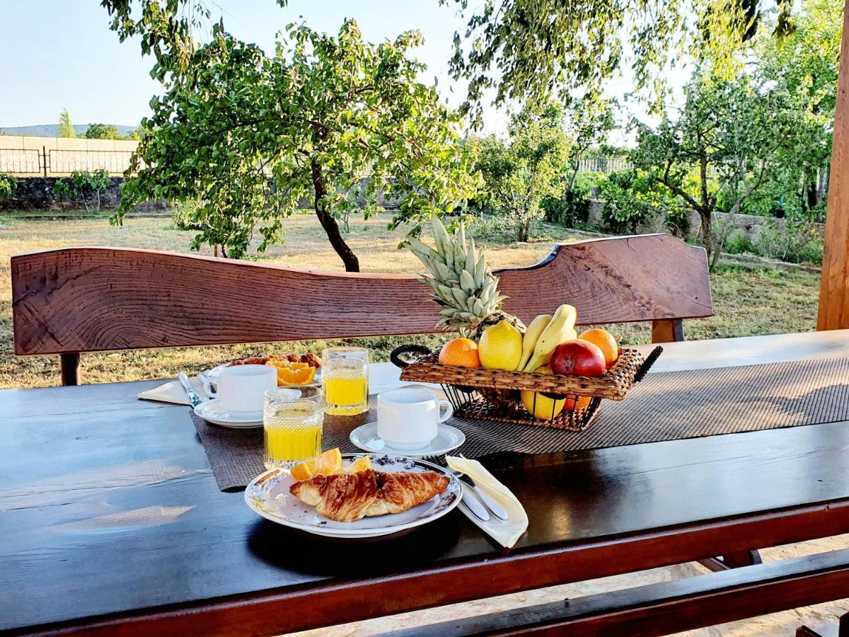 Village House Fafarinka - Close To Krka National Park Konjevrate المظهر الخارجي الصورة