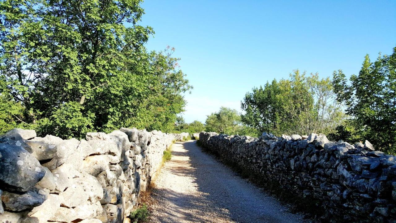 Village House Fafarinka - Close To Krka National Park Konjevrate المظهر الخارجي الصورة